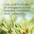 The Love of God is Like an Evergreen