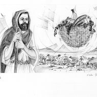 Amos 8:1 Illustration - Basket of Fruit
