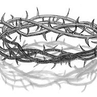 Matthew 15:17 Illustration - Crown of Thorns
