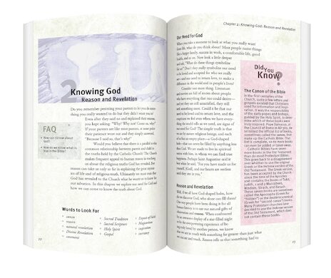 The Catholic Faith Handbook