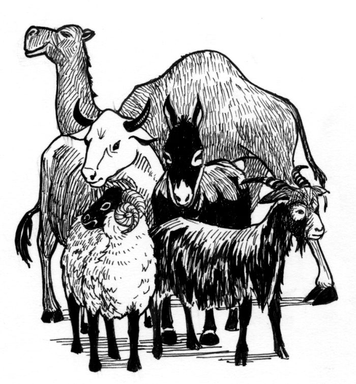 Animals in the Bible Saint Mary's Press