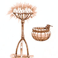 2 Chronicles 4:7-8 Illustration - Lampstands and Bowls
