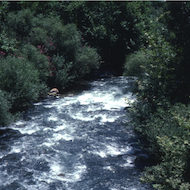 The Jordan River