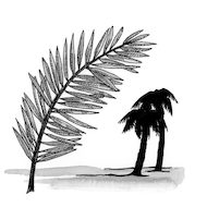 Signs and Symbols: Palm