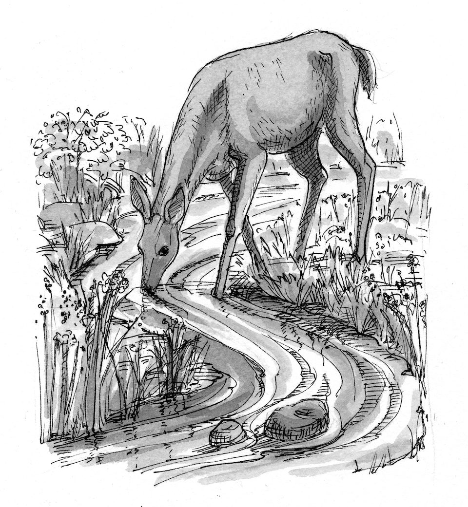 Psalm 4212 Illustration Deer and Deerstream Saint