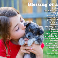 Blessing of a Pet