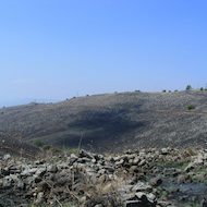 Basalt Hillside in Israel