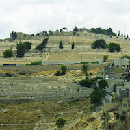 Mount of Olives in East Jerusalem