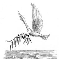 Genesis 8:11 Illustration - Dove and Olive Branch