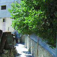Israel Alley
